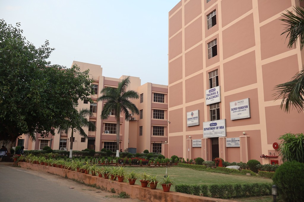 Department of T & P